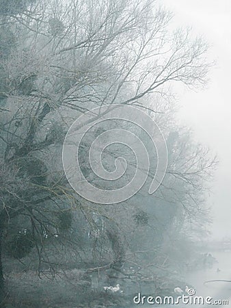 Romantic winter mist over calm waters Stock Photo
