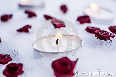 Romantic Winter Tealights On Snow Surrounded By Rose Bloom Stock Photo