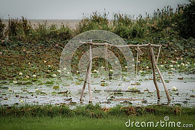 Romantic wooden swing in water pond with lotus flowers and the sea in the background Stock Photo