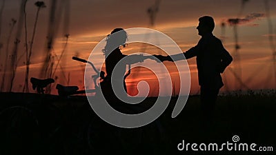 Romantyczny spacer para w miłości tanczy w polu podczas jaskrawego czerwonego zmierzchu Widok sylwetki zbiory wideo Romantyczny spacer para w miłości tanczy w polu podczas jaskrawego czerwonego zmierzchu Widok sylwetki zbiory wideo