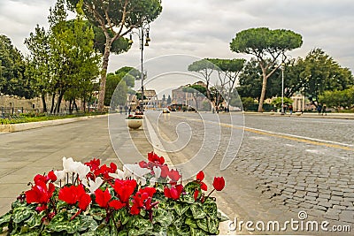 Imperial Forum Street, Rome, Italy Editorial Stock Photo