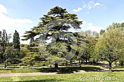 Rome, Italy - Villa Borghese park Editorial Stock Photo