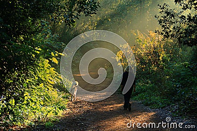 Rome, Villa Ada park Stock Photo