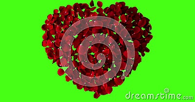 Rood hart van roze bloemblaadjes die met draaikolk op achtergrond van het chroma de zeer belangrijke, groene scherm vliegen stock videobeelden Rood hart van roze bloemblaadjes die met draaikolk op achtergrond van het chroma de zeer belangrijke, groene scherm vliegen stock videobeelden