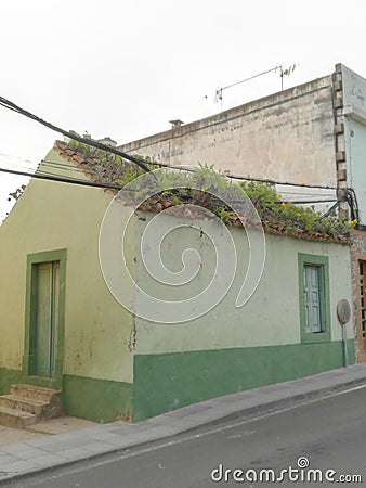 Roof Stock Photo