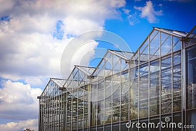 Roof glass transparent greenhouses Stock Photo