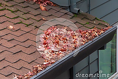 Leaves clogging rain gutters on a roof Stock Photo
