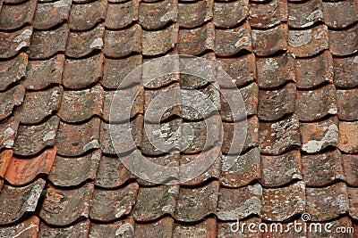 Roof Tiles Stock Photo