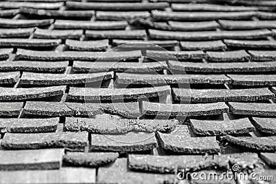 Roof tiles Stock Photo