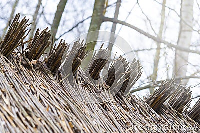 Roof of tree branches, hay or dry grass. Roof texture Dry straw, roof background texture Stock Photo