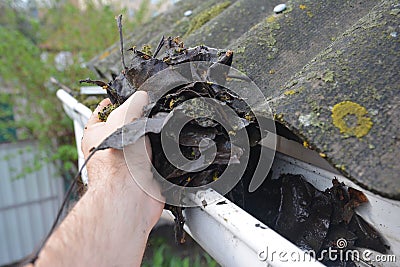 Roofer Cleaning Rain Gutter from Leaves in Spring. Roof Gutter Cleaning Tips. Clean Your Gutters Before They Clean Out Your Wallet Stock Photo