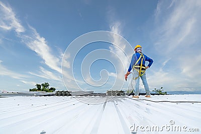 A Roofer using electric drill nail gun installing PU foam roof sheet at under construction. Safety body construction, Working at Stock Photo
