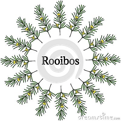 Rooibos in color, frame 1 Vector Illustration