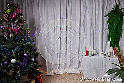 A room with a Christmas tree, a table and a curtain decorated for Christmas and New Year. A place for photo shoots in Stock Photo