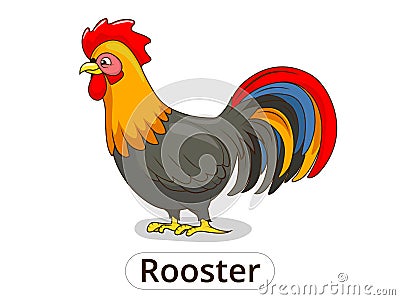 Rooster animal cartoon illustration for children Vector Illustration