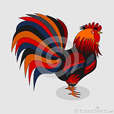 A rooster with a beautiful plumage on a grey background Vector Illustration