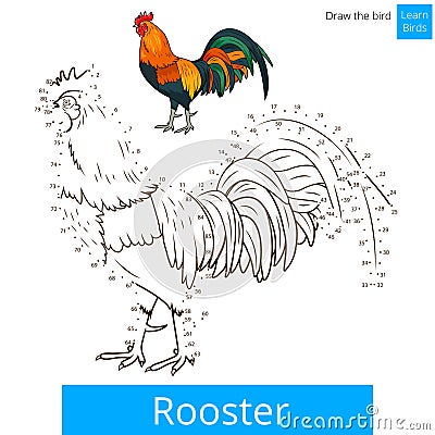 Rooster bird learn to draw vector Vector Illustration