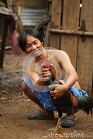 Rooster before cockfighting Editorial Stock Photo