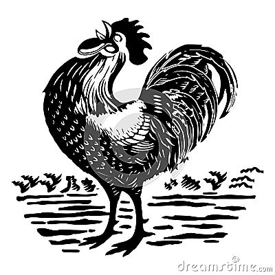 The rooster is crowing on farm in the morning Vector Illustration