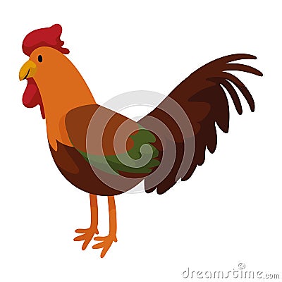 rooster domestic farm animal Vector Illustration