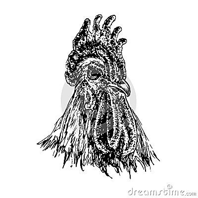 Rooster face portrait, doodle drawing, woodcut style Vector Illustration