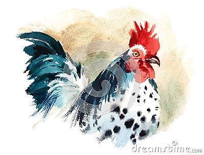 Rooster Farm Bird Watercolor Illustration Hand Painted Cartoon Illustration