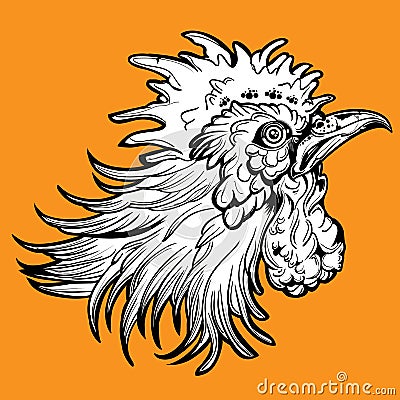 Rooster Fight Head orang chicken cool farm fight foot Vector Illustration