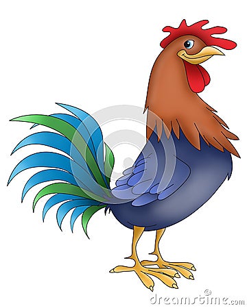 Rooster funny animals Stock Photo