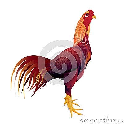 Rooster gamecock Vector Illustration