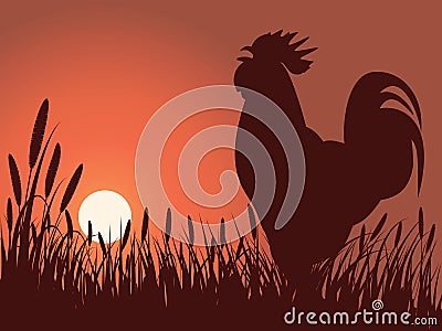 Rooster greeting sunrise Vector Illustration