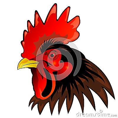 Rooster head Vector Illustration