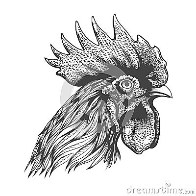 Rooster head engraving Vector Illustration