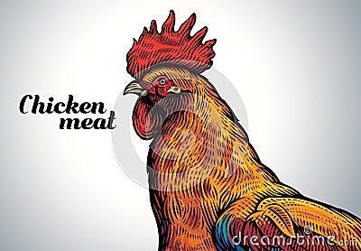 Rooster head in engraving style Vector Illustration