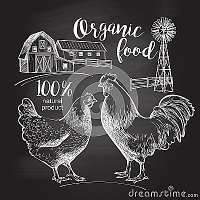 Rooster hen farm Vector Illustration