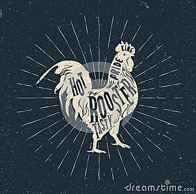 Rooster label. Vintage styled vector illustration Vector Illustration