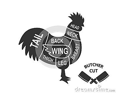 Rooster scheme cuts. Butcher diagram poster. Meat diagram scheme illustration. Cuts of rooster meat. Farm animal Vector Illustration