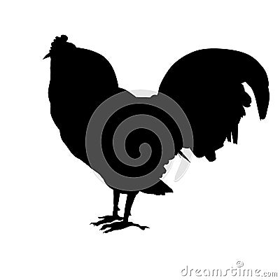 Rooster silhouette Vector Illustration