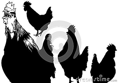 Rooster Silhouettes Set Vector Illustration