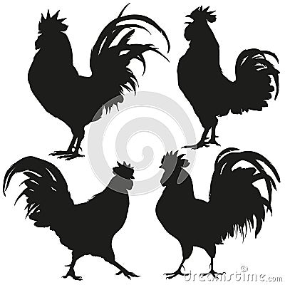 Rooster silhouettes set. Vector illustration Vector Illustration