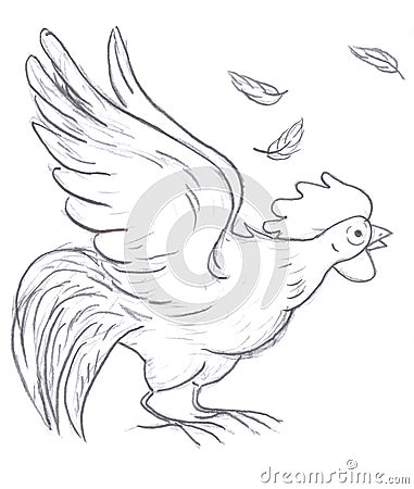 Rooster sketch Stock Photo