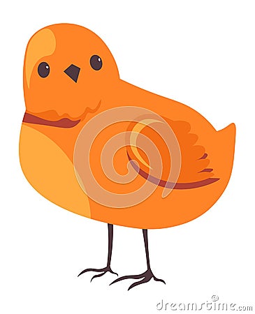 Small chick, domestic animals farm breeding vector Vector Illustration