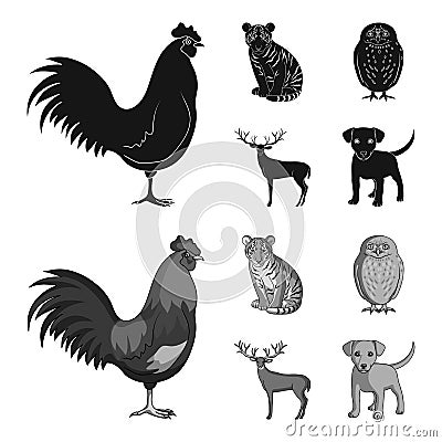 Rooster, tiger, deer, owl and other animals.Animals set collection icons in black,monochrom style vector symbol stock Vector Illustration