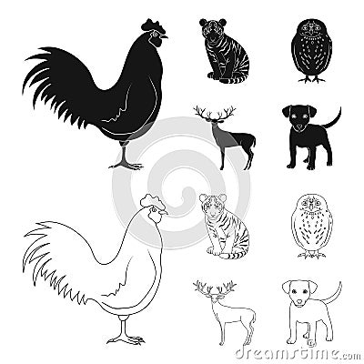 Rooster, tiger, deer, owl and other animals.Animals set collection icons in black,outline style vector symbol stock Vector Illustration