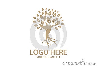 Root Abstract Hummingbird Tree Logo Vector Illustration