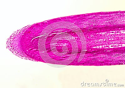 Root cap - microscopic view Stock Photo