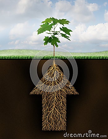 Root Of Success Stock Photo