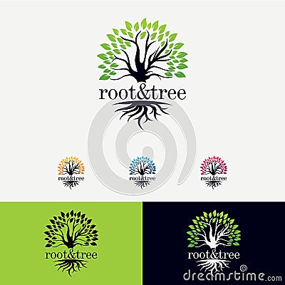 Root and Tree Logo Design Template Vector Illustration