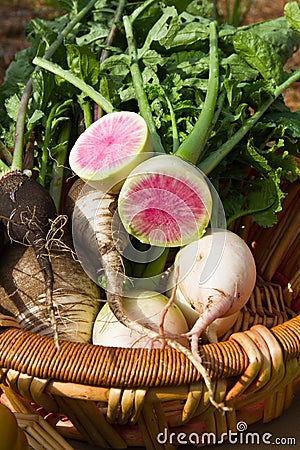 Root vegetables in basket Stock Photo