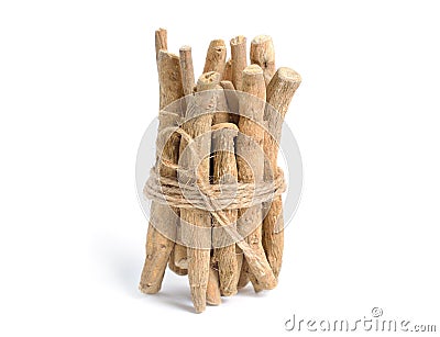 Root Withania somnifera, known commonly as ashwagandha, Indian ginseng, poison gooseberry or winter cherry Stock Photo