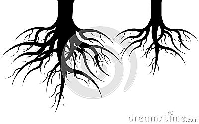 Roots Stock Photo